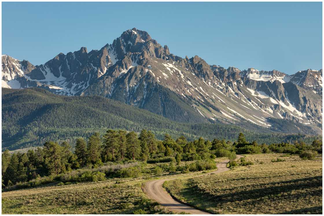 A dirt road winds through the forest on the way to Mount Sneffels