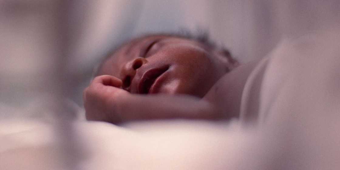 Western North: Galamsey identified as cause of babies born without eyes, nose, ears in Aowin - Report Western North: Galamsey identified as cause of babies born without eyes, nose, ears in Aowin - Report