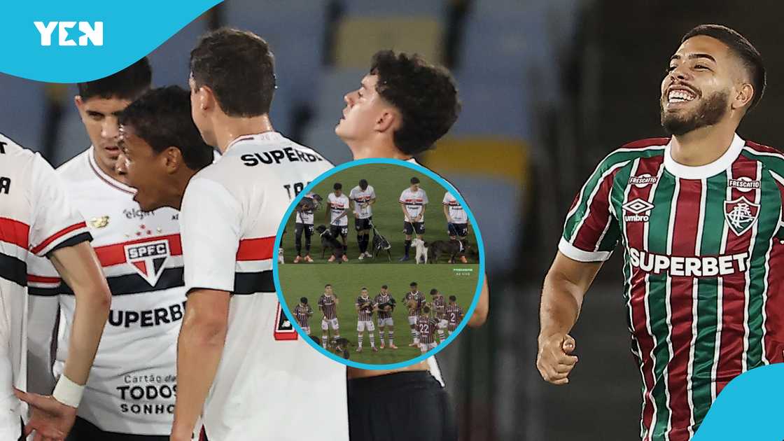 Fluminense dogs walkout, Sao Paulo dog adoption gesture, Abrigo Joao Rosa dogs, Fluminense vs Sao Paulo dog moment, Brazilian league dog adoption, footballers walk out with dogs, Serie A Betano Round 36 results