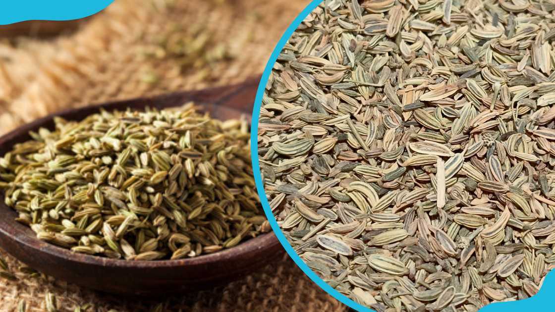 spices in Ghana spices in Ghana