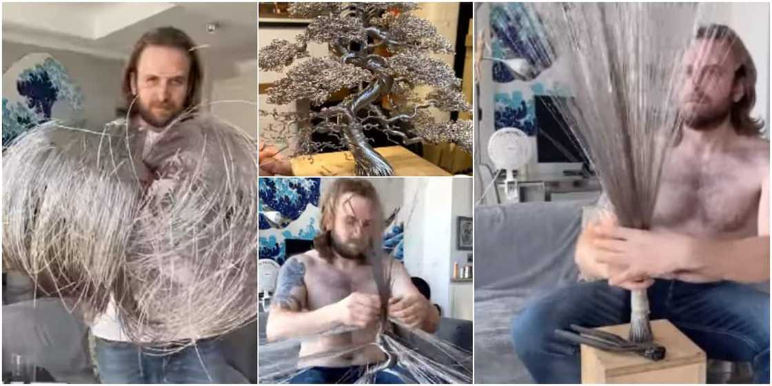 Man crafts fine tree sculpture from 600 strands of stainless steel wires, video wows many Man crafts fine tree sculpture from 600 strands of stainless steel wires, video wows many
