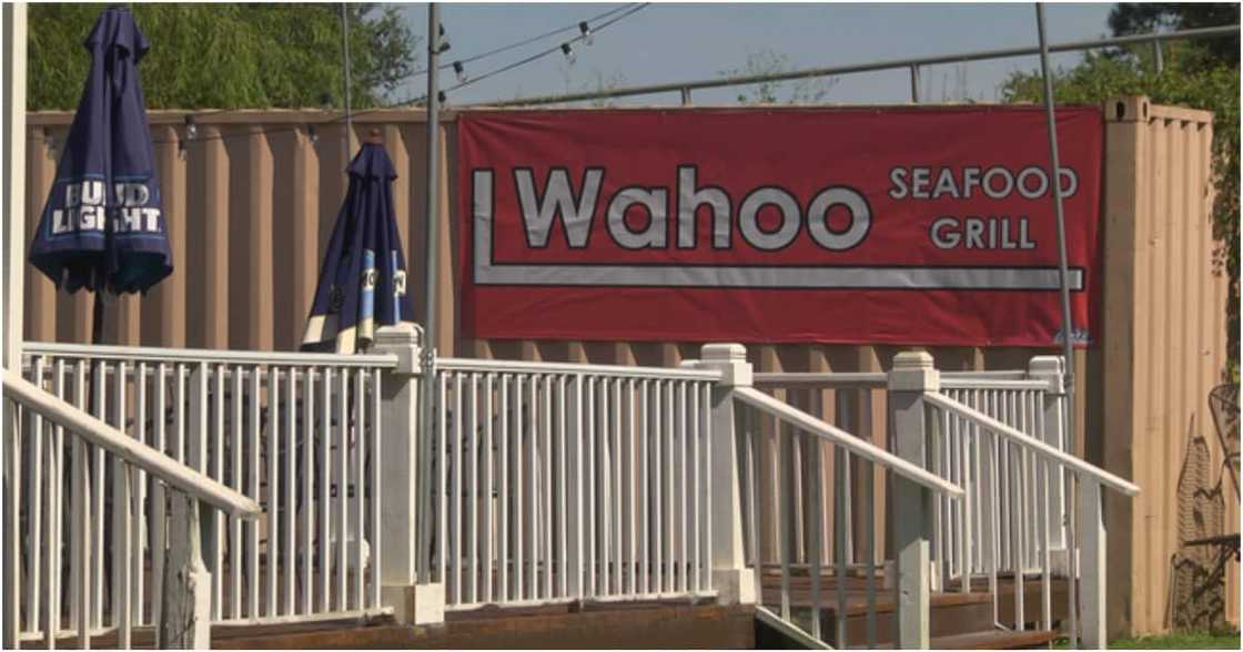 A generous customer tipped ten Wahoo Seafood employees KSh 109,396 each. A generous customer tipped ten Wahoo Seafood employees KSh 109,396 each.