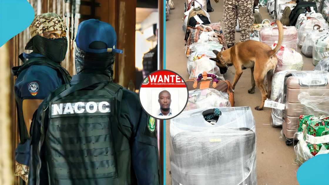 Danquah Frank wanted, Ghana Narcotics Control Commission, NACOC wanted person, public appeal, wanted, NACOC hotline, Danquah Frank, Ghana, narcotics investigation Danquah Frank wanted, Ghana Narcotics Control Commission, NACOC wanted person, public appeal, wanted, NACOC hotline, Danquah Frank, Ghana, narcotics investigation