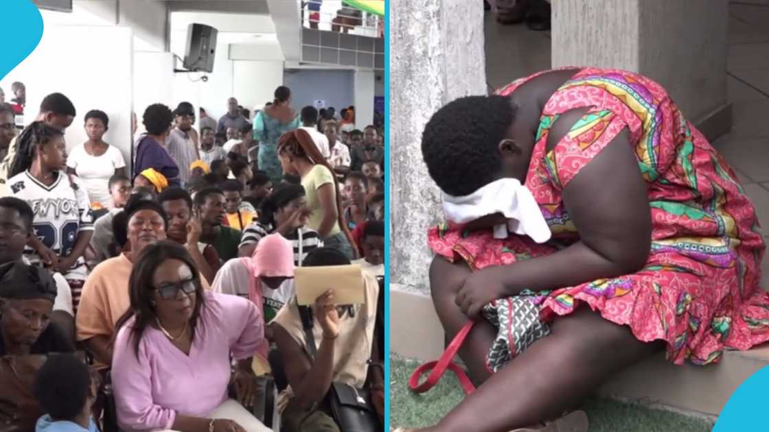The Ministry of Education, Senior High School, placement process, CSSP, Free SHS The Ministry of Education, Senior High School, placement process, CSSP, Free SHS