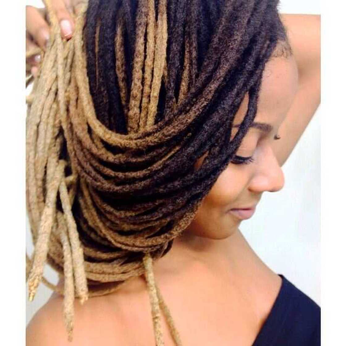 styles with rasta braids
bob rasta styles
styles of rasta braids
long rasta braid styles