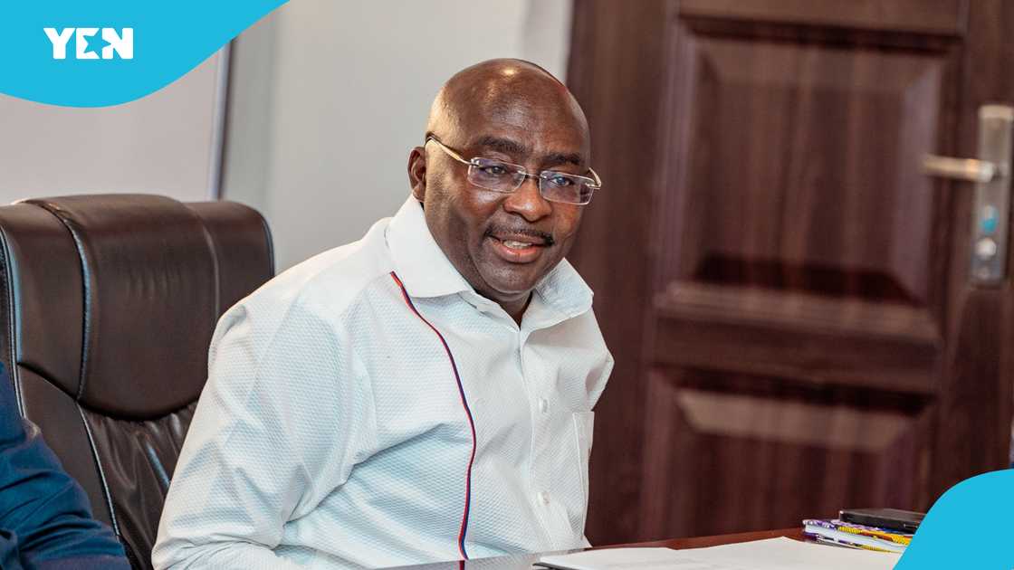 Dr Mahamudu Bawumia, NPP, Flagbearer, politician, wealth, serve