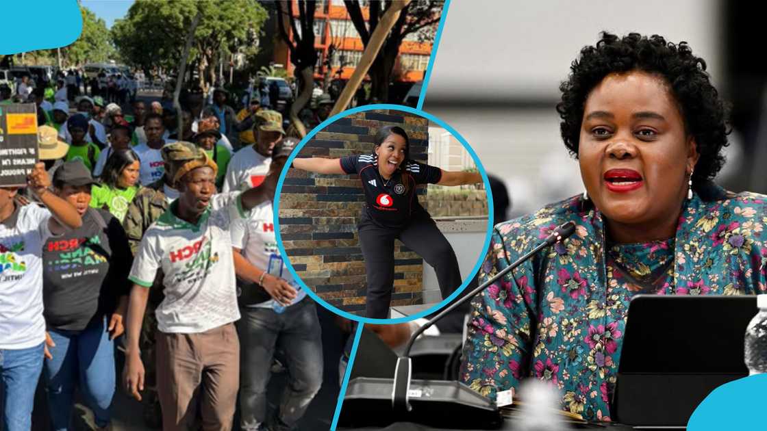 Mmamoloko Kubayi, Jacinta Ngobese-Zuma, South Africa, xenophobia in South Africa, South African artists,impact of xenophobia