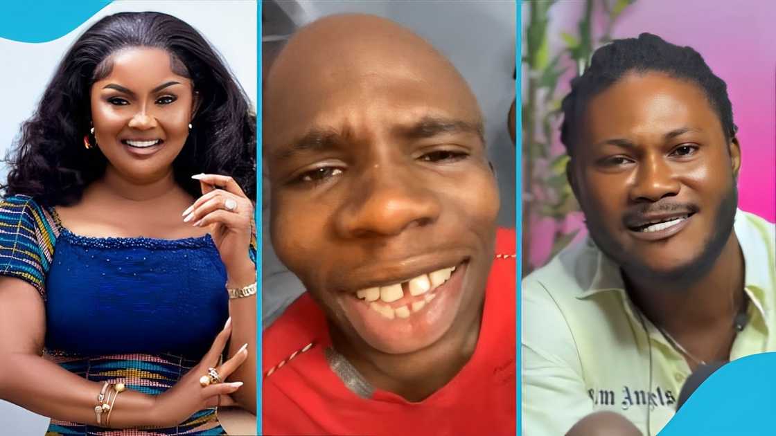 Ghanaian, fume, Nana Ama McBrown, Kivo, Kar Lite, Gari, ambassadorial deal Ghanaian, fume, Nana Ama McBrown, Kivo, Kar Lite, Gari, ambassadorial deal