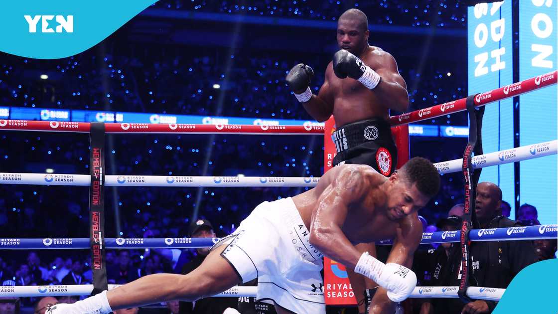 Anthony Joshua, Daniel Dubois, Battle of the Beasts. Anthony Joshua, Daniel Dubois, Battle of the Beasts.