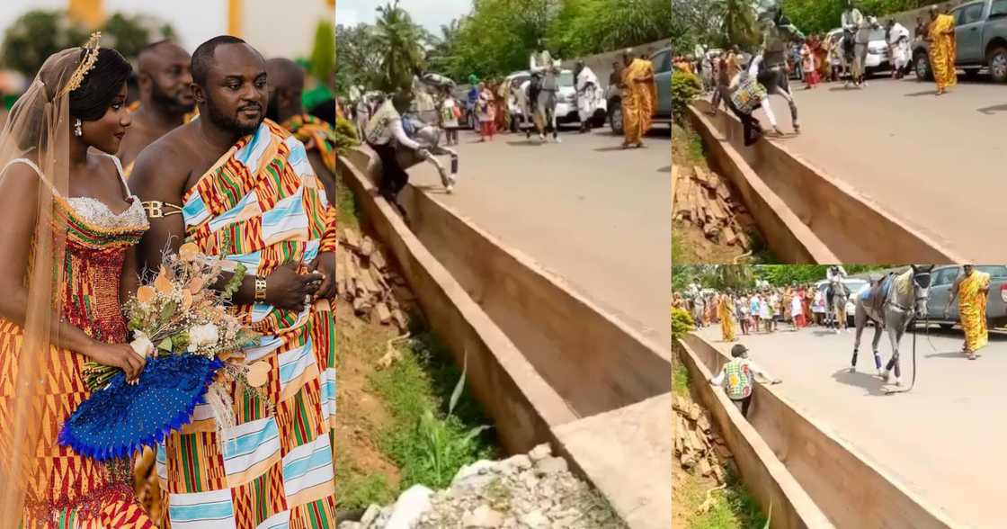 Anita and Barima wedding Anita and Barima wedding