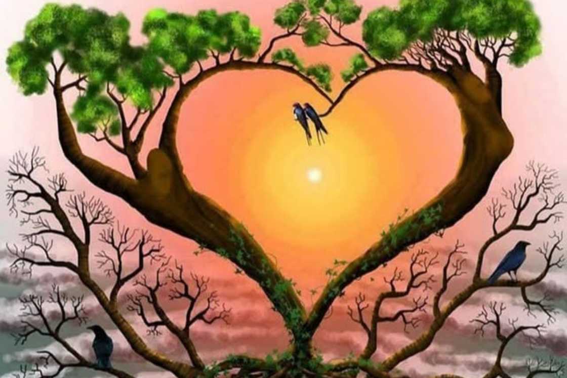 A drawing of a tree splitting into two trees forming a heart shape A drawing of a tree splitting into two trees forming a heart shape