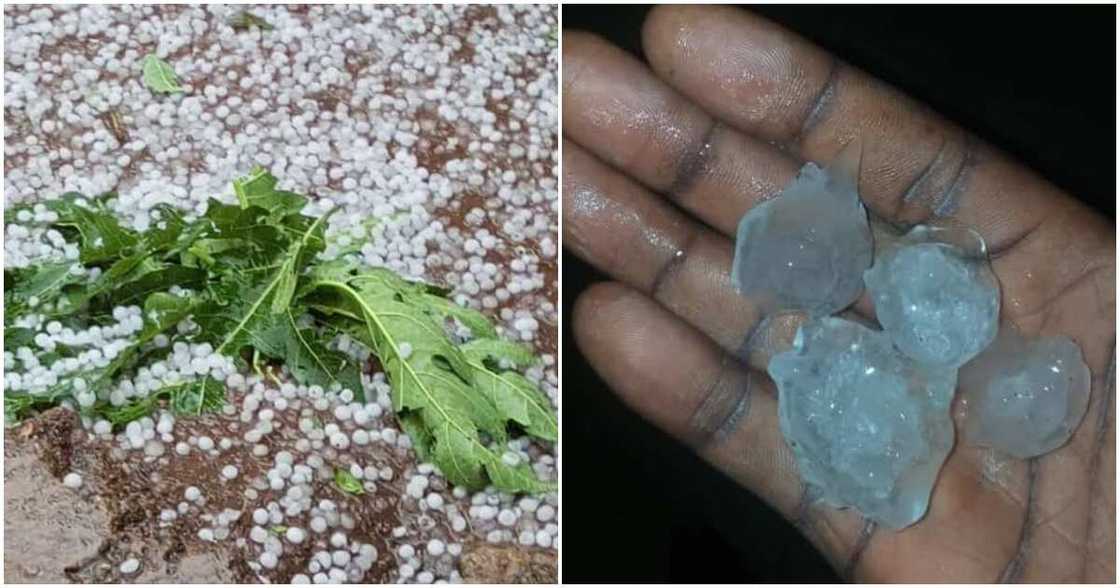 Hail stones fall in Volta Region town of Hohoe. Hail stones fall in Volta Region town of Hohoe.
