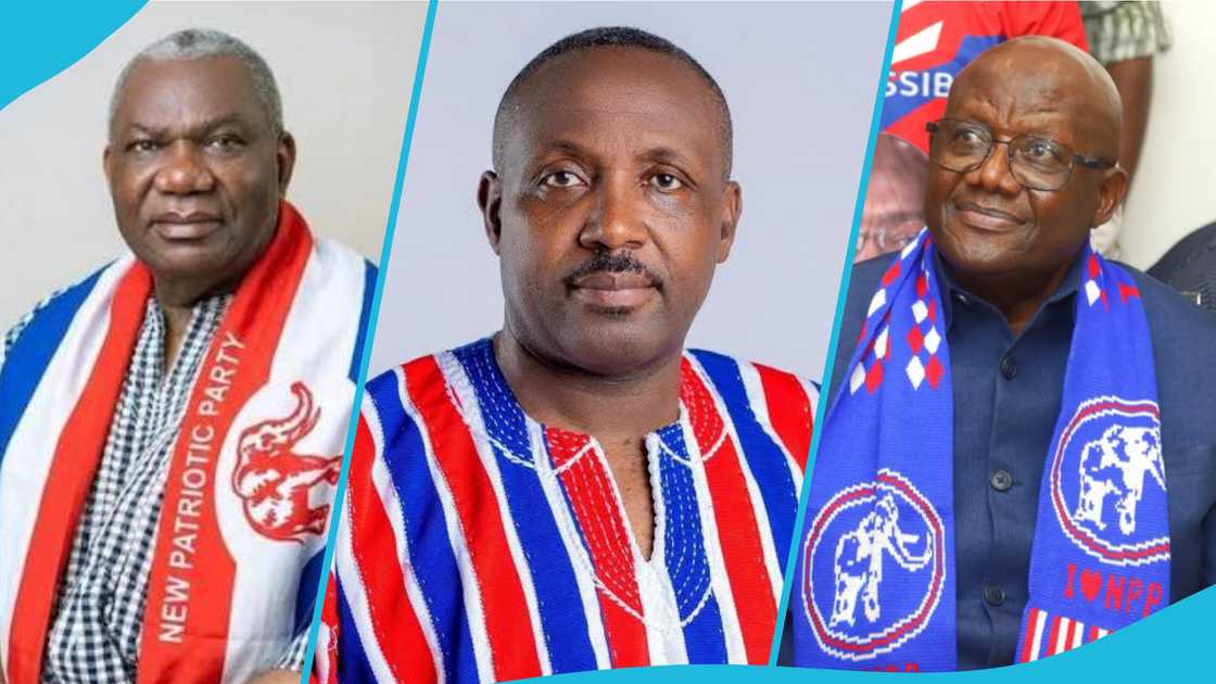 NPP delegates congress, New Patriotic Party (NPP), NPP national executive elections, NPP National Chairman race, NPP General Secretary election, NPP constitutional amendments, Baba Yara Sports Stadium, Kumasi NPP congress, NPP delegates by region
