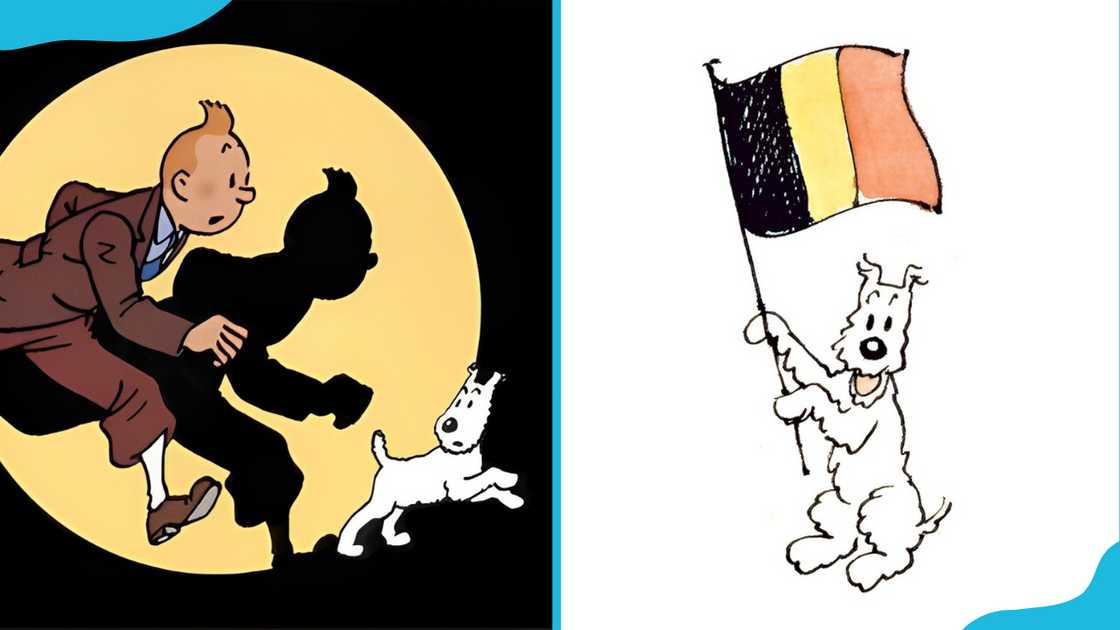 Snowy from The Adventures of Tintin. Snowy from The Adventures of Tintin.