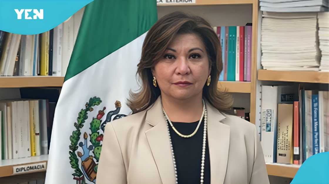 Mexico Embassy Ghana job vacancy, Assistant for Political Economic Cultural Affairs, apply embassy jobs Ghana, university degree requirements embassy, social media management experience, international relations job opening, diplomacy Mexico Embassy Ghana job vacancy, Assistant for Political Economic Cultural Affairs, apply embassy jobs Ghana, university degree requirements embassy, social media management experience, international relations job opening, diplomacy