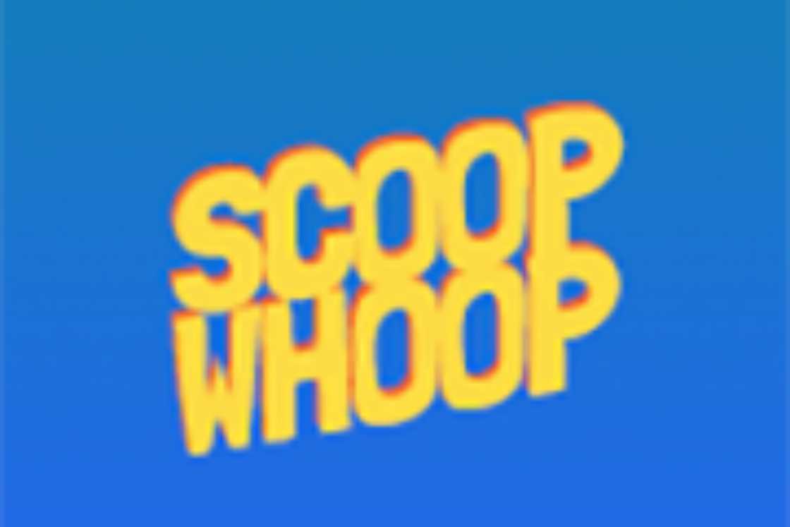 websites to cure boredom websites to cure boredom