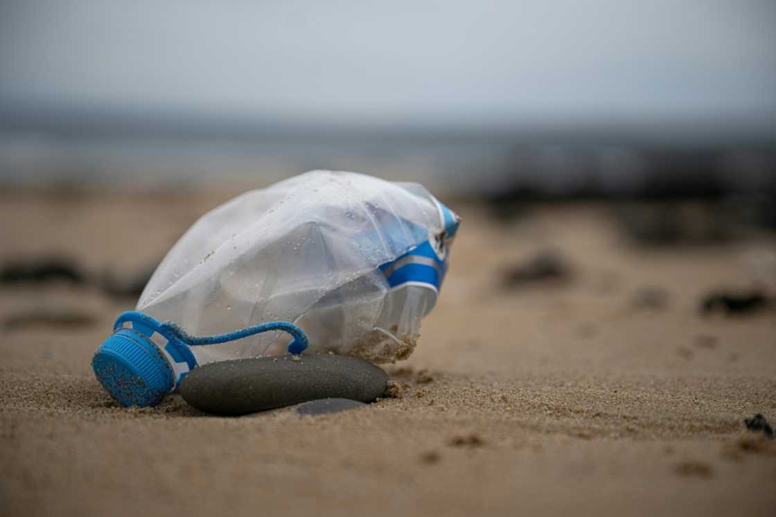 In 2022, some 175 nations agreed to fast-track negotiations toward a world-first treaty on plastic pollution In 2022, some 175 nations agreed to fast-track negotiations toward a world-first treaty on plastic pollution