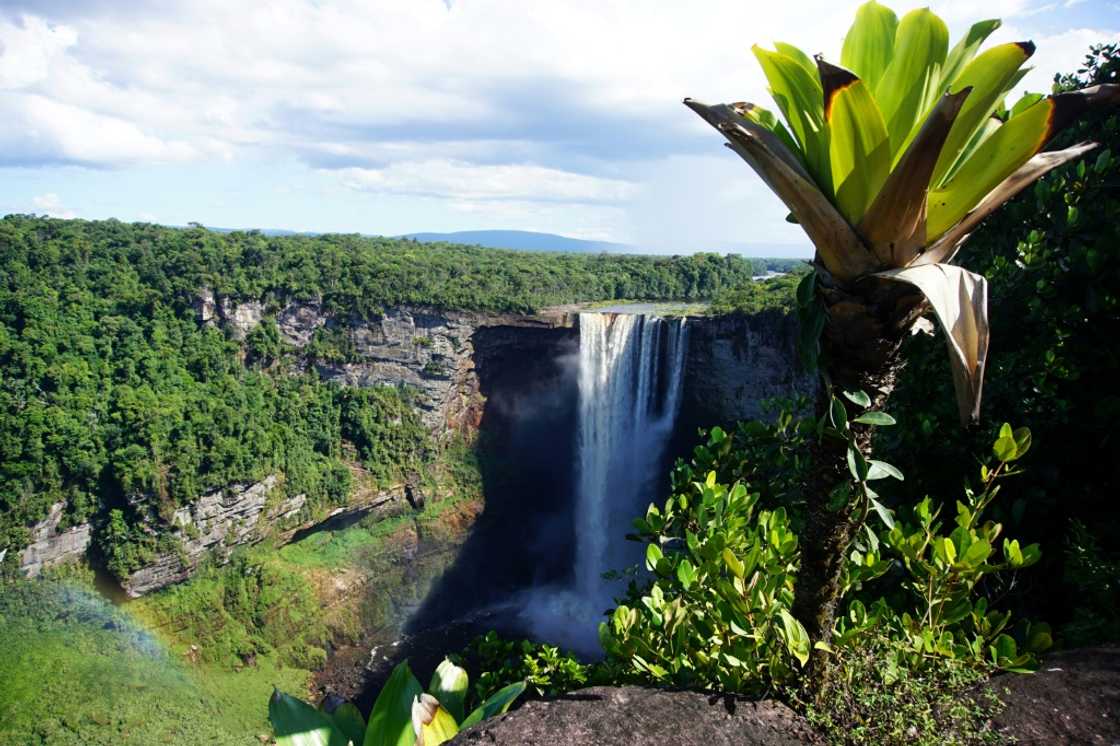 Guyana claims to already be carbon neutral, due to its small population and economy coupled with lush forests, such as in Kaieteur National Park Guyana claims to already be carbon neutral, due to its small population and economy coupled with lush forests, such as in Kaieteur National Park