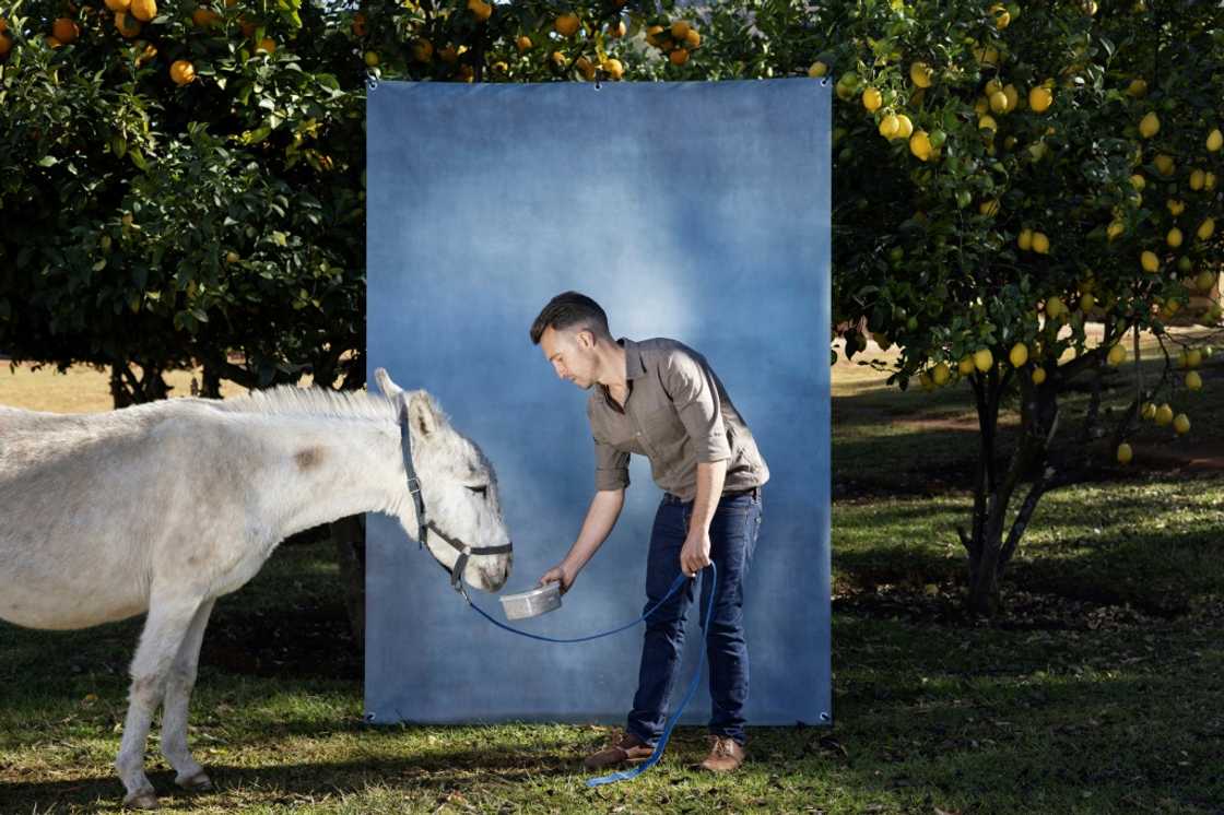 There is scant information on the size of the ejiao market There is scant information on the size of the ejiao market