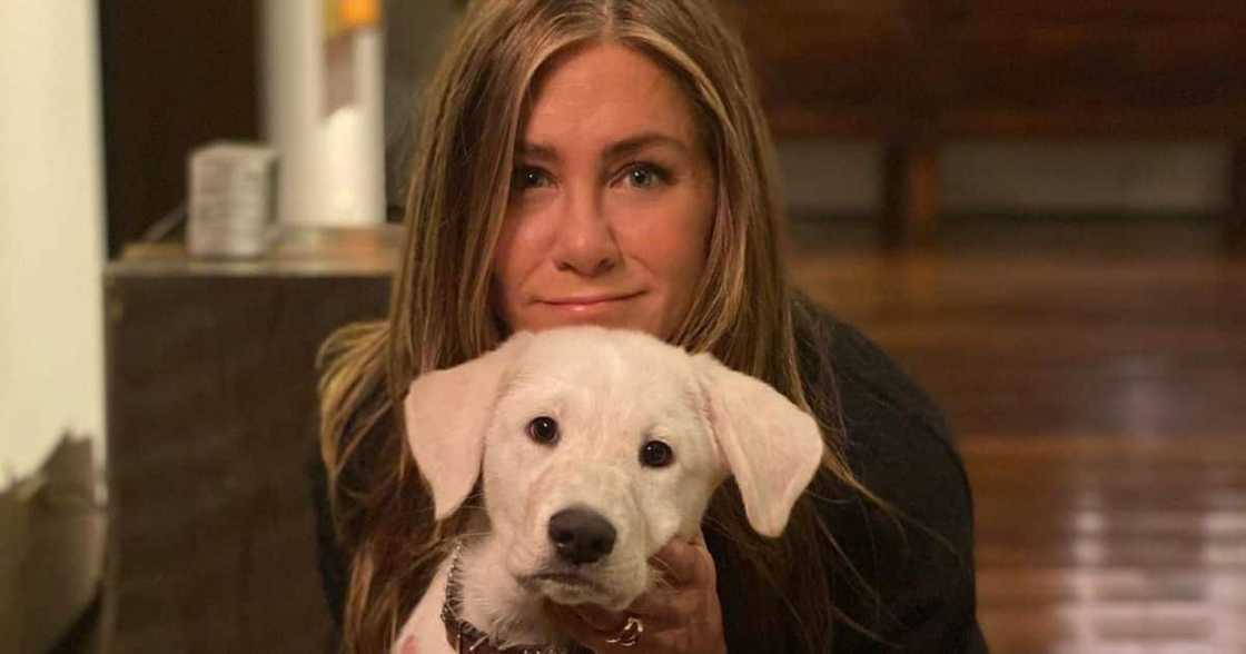 Hollywood celebs including Oprah, Miley and Seth Rogen. Hollywood celebs including Oprah, Miley and Seth Rogen.