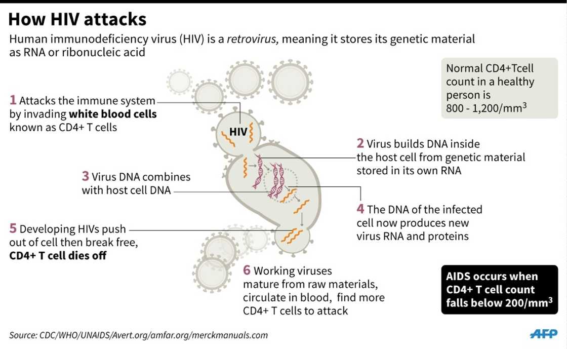 How HIV attacks white blood cells