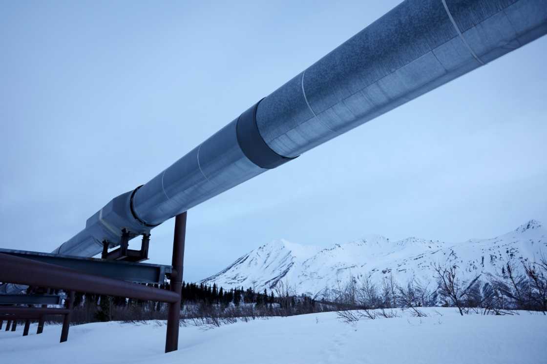 The Trans Alaska Pipeline near Delta Junction, Alaska. The EU has promised to buy more US fossil fuels to secure a trade deal with President Donald Trump The Trans Alaska Pipeline near Delta Junction, Alaska. The EU has promised to buy more US fossil fuels to secure a trade deal with President Donald Trump
