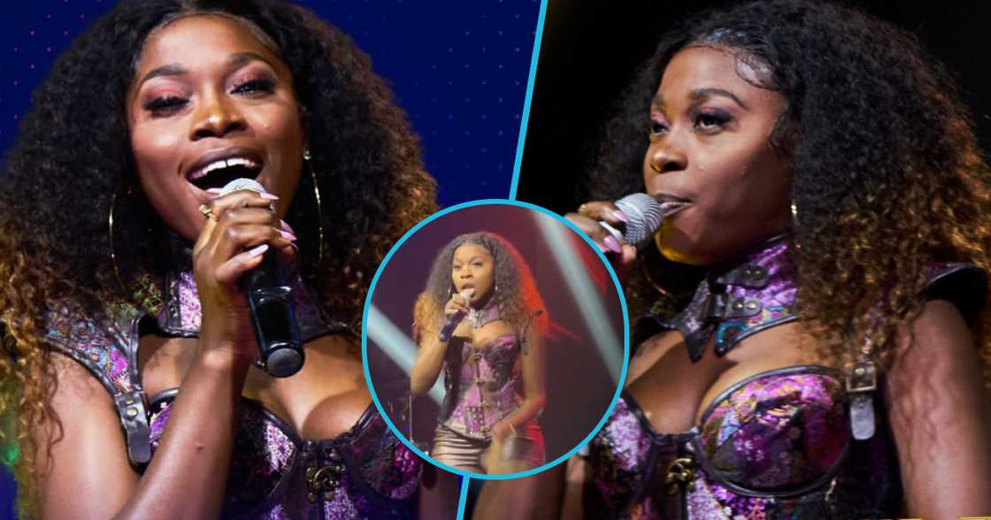 Photos of Cielo Bee. Photos of Cielo Bee.