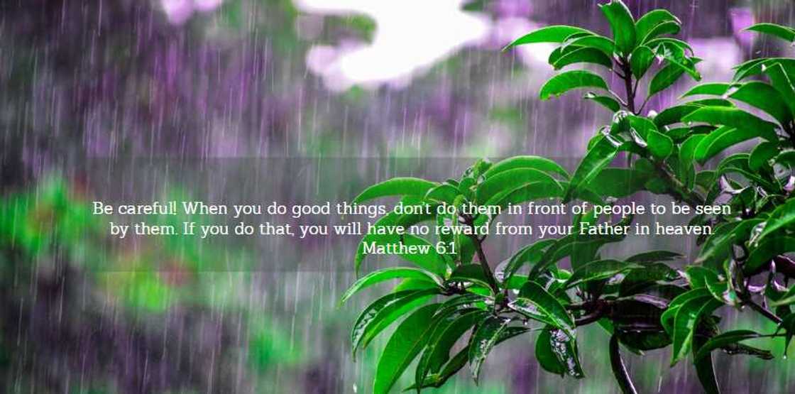 words of wisdom words of wisdom