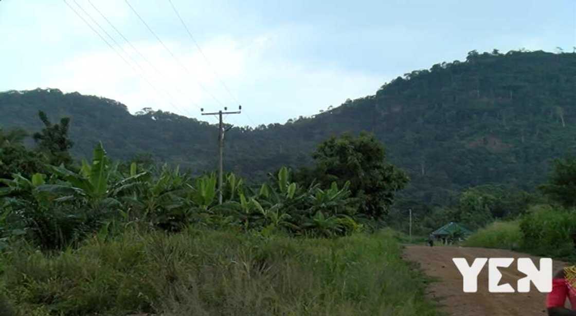 At Akyem-Tafo Nobi, you must climb a tree to receive a phone call