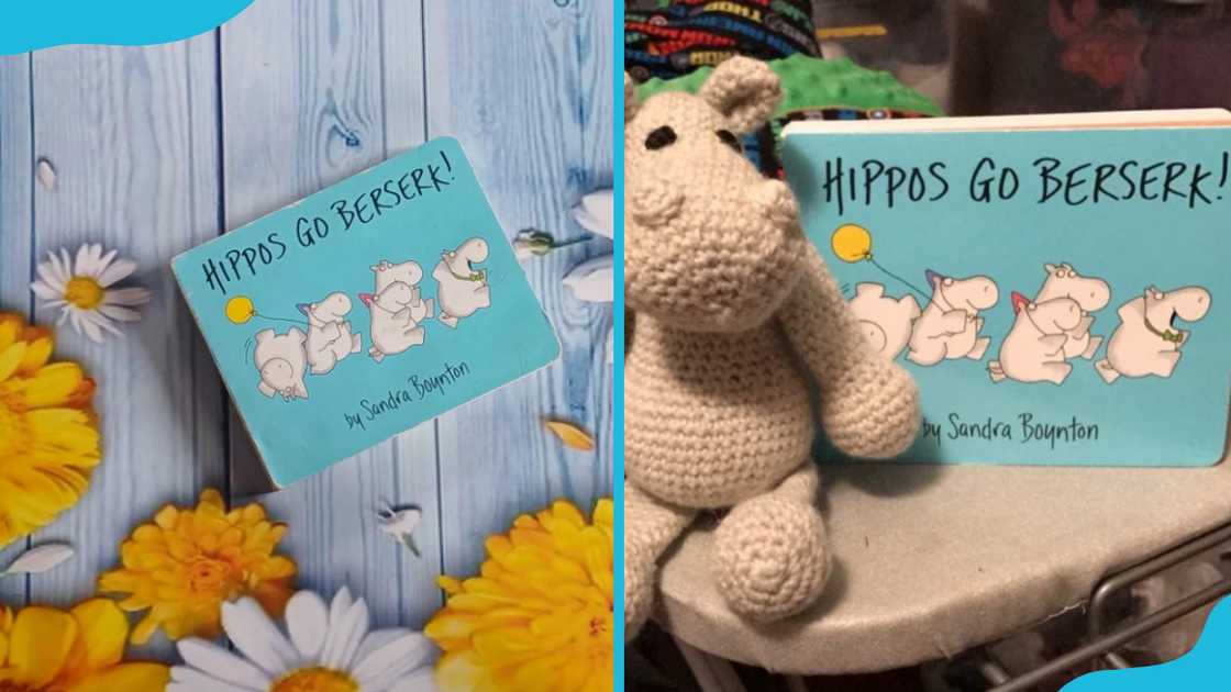 Sandra Boynton's books Sandra Boynton's books