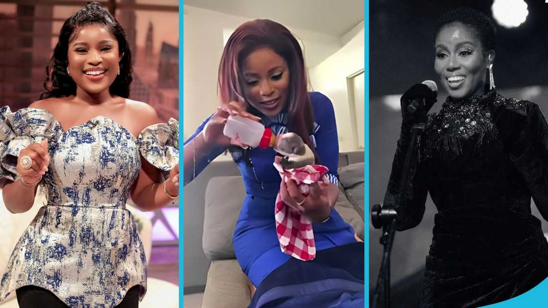 Berla Mundi, MzVee, MzVee's mansion, Berla Mundi's mansion, MzVee's dogs, MzVee's songs Berla Mundi, MzVee, MzVee's mansion, Berla Mundi's mansion, MzVee's dogs, MzVee's songs