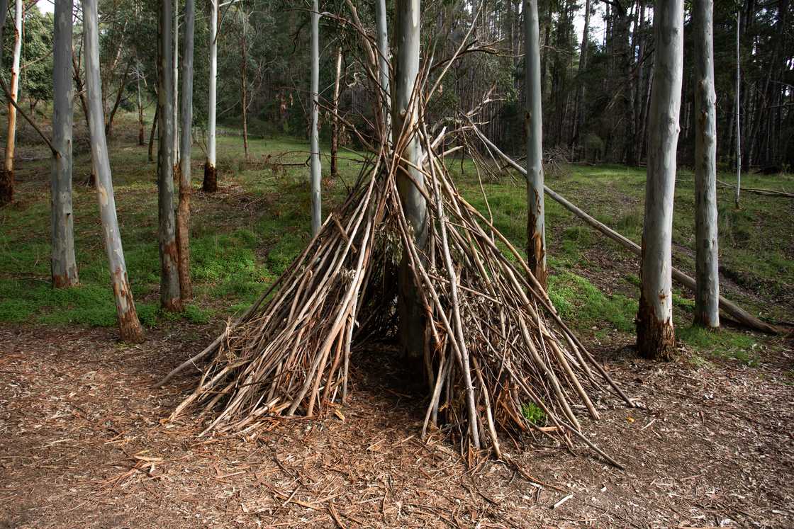 A wooden shelter in the forest in Fleurieu Peninsula, South Australia. A wooden shelter in the forest in Fleurieu Peninsula, South Australia.
