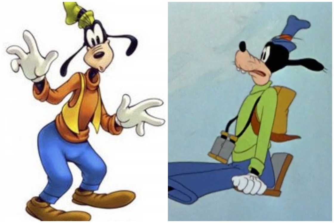 Is Goofy a cow or a dog?