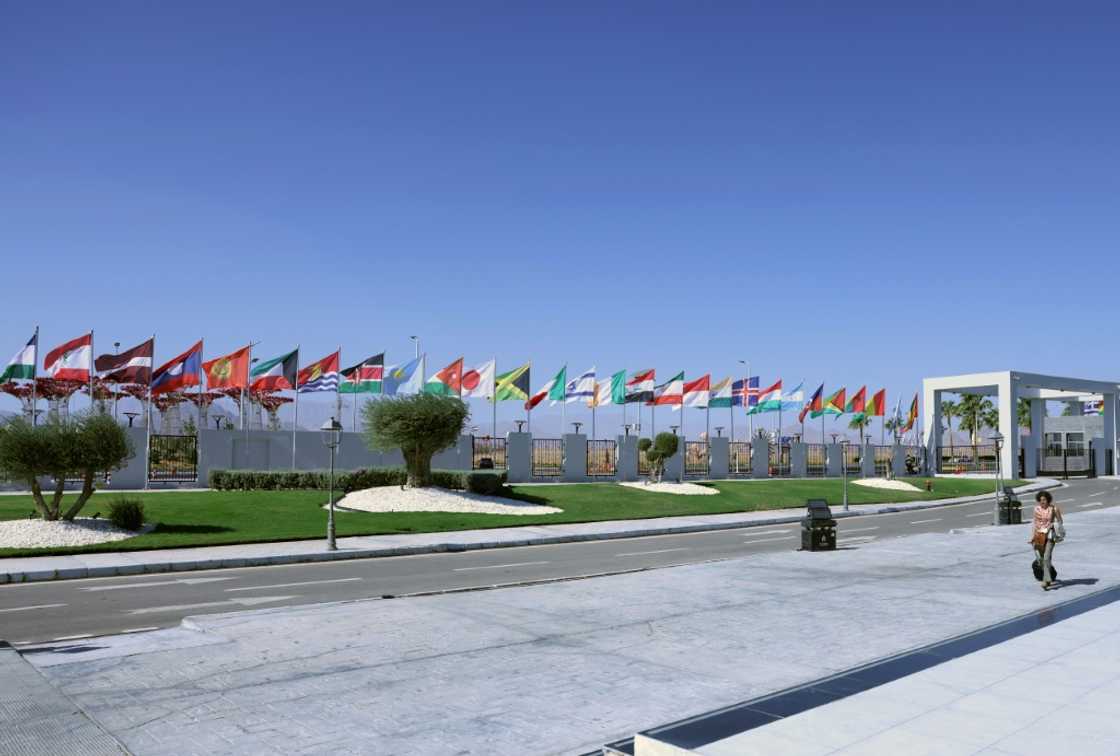 Though ramps abound, attendees with physical impairments say the UN climate summit has been especially difficult for them to navigate Though ramps abound, attendees with physical impairments say the UN climate summit has been especially difficult for them to navigate