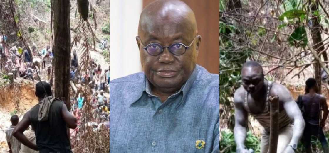 Former SA High Commissioner calls for ‘shooting to kill’ as the best solution to end galamsey Former SA High Commissioner calls for ‘shooting to kill’ as the best solution to end galamsey