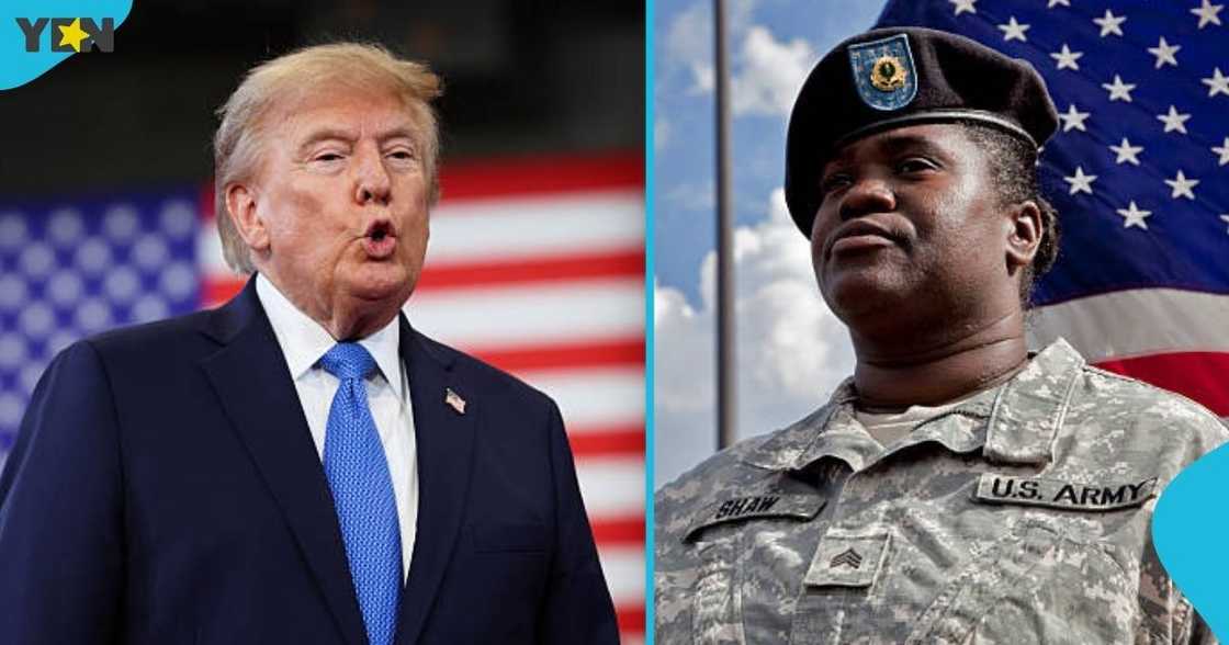 United States, US, Join the US Army, America Military, foreign nationals, non-citizens