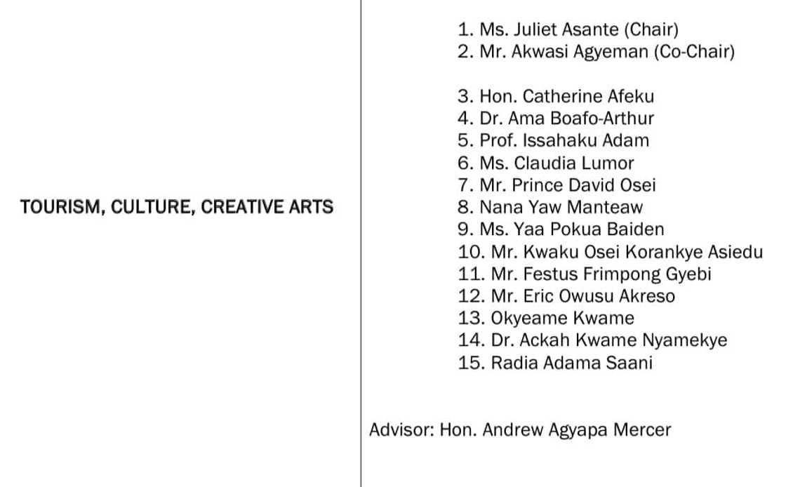 NPP Manifesto Committee NPP Manifesto Committee