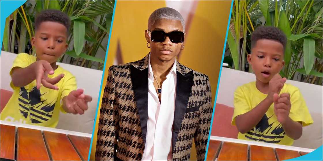 KiDi's son, Zane dances to King Promise's Terminator