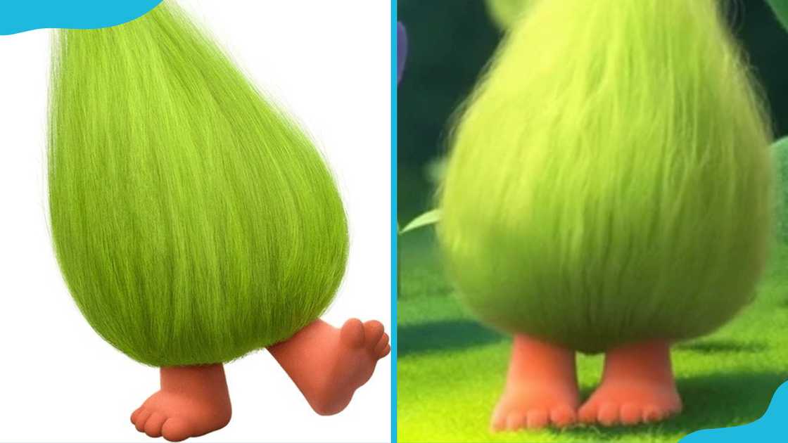 Fuzzbert lifting his foot (L) and standing still (R) Fuzzbert lifting his foot (L) and standing still (R)