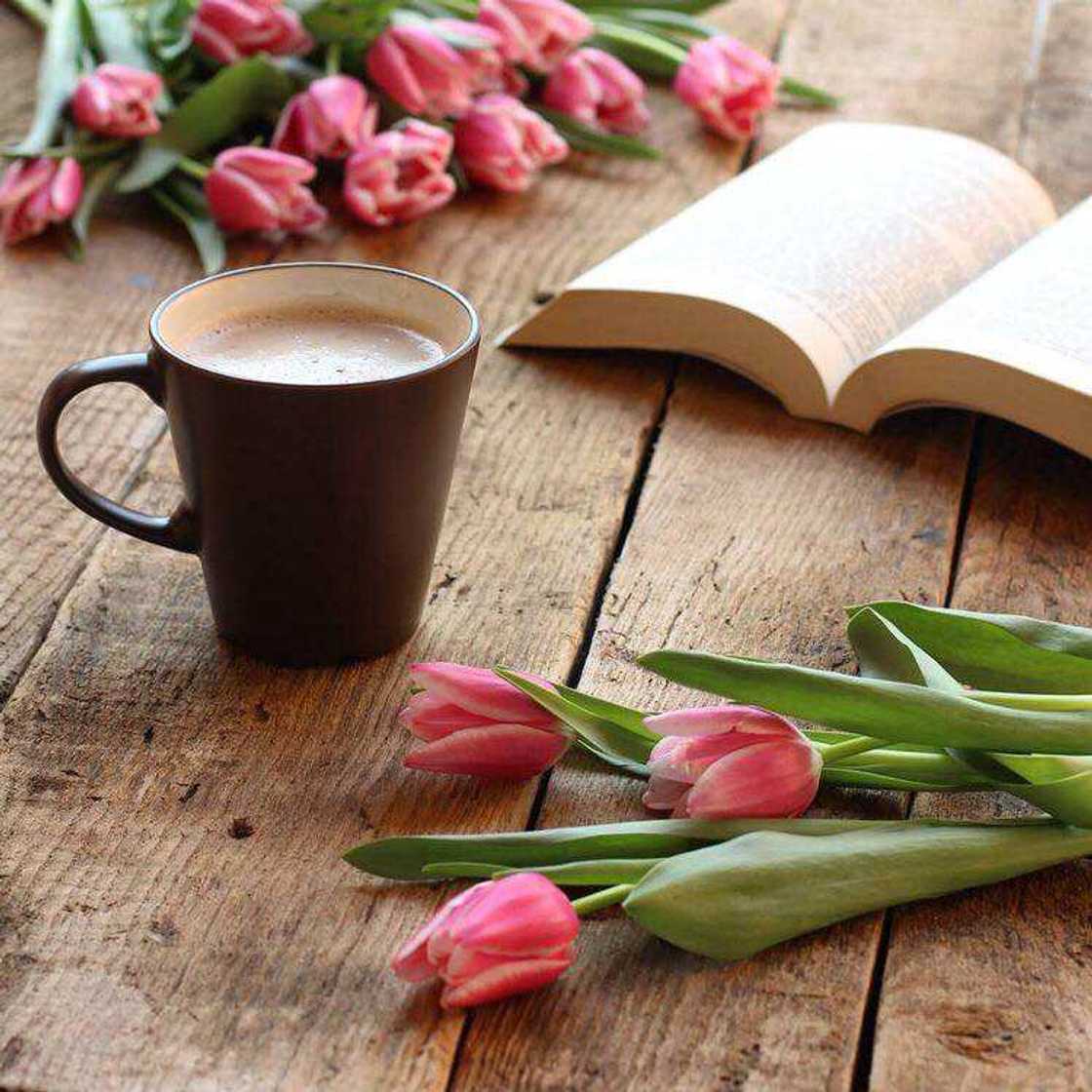 Good morning coffee: 50+ Top images Good morning coffee: 50+ Top images