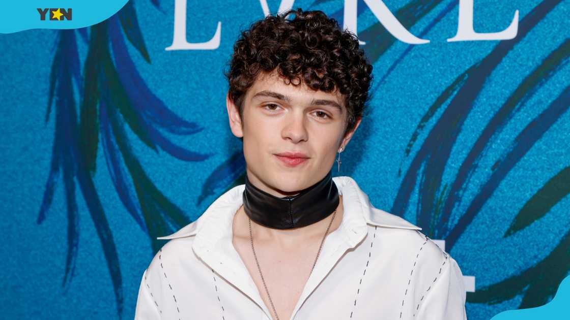 Noah Jupe at the "Lady in the Lake" New York premiere. Noah Jupe at the "Lady in the Lake" New York premiere.