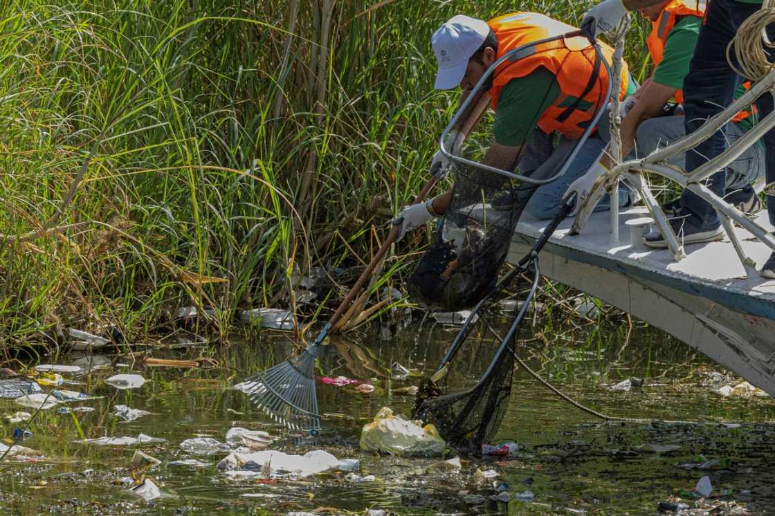 Volunteers collecting garbage from the Nile in Cairo on September 29, 2022 Volunteers collecting garbage from the Nile in Cairo on September 29, 2022