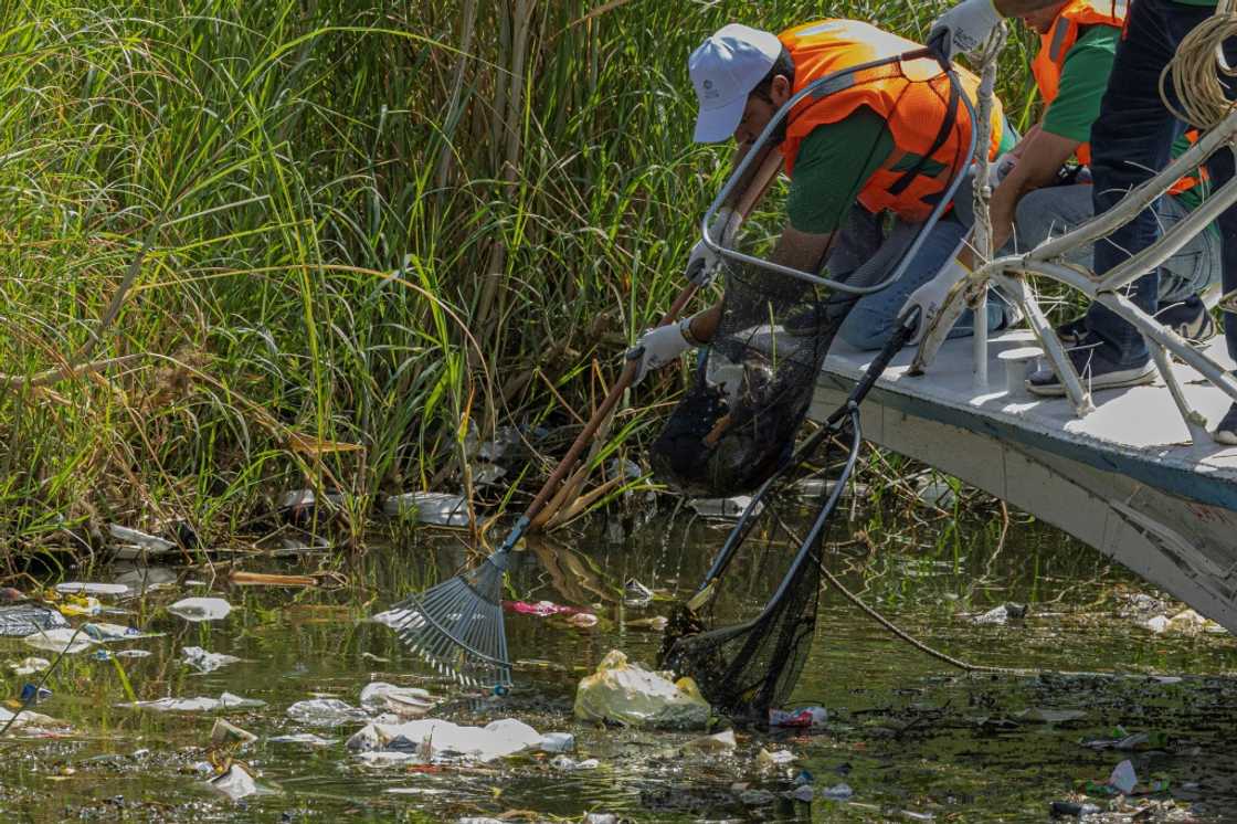 Volunteers collecting garbage from the Nile in Cairo on September 29, 2022