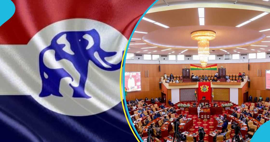 NPP leadership debunks rumours party is planning a shake-up in parliament NPP leadership debunks rumours party is planning a shake-up in parliament