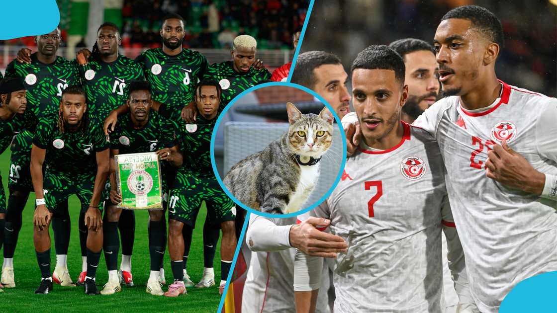 Nigeria vs Tunisia, AFCON 2025, AFCON 2025 predictions, Nimbus Pronos cat prediction, Nigeria Super Eagles, Tunisia Carthage Eagles, Group C match preview, AFCON knockout stage qualification. Nigeria vs Tunisia, AFCON 2025, AFCON 2025 predictions, Nimbus Pronos cat prediction, Nigeria Super Eagles, Tunisia Carthage Eagles, Group C match preview, AFCON knockout stage qualification.