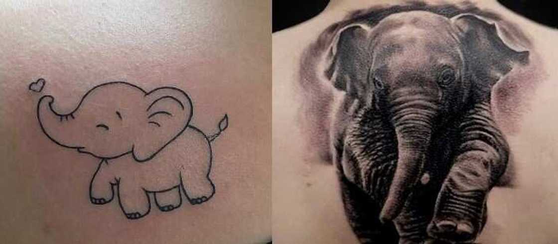 elephant tattoo elephant tattoo