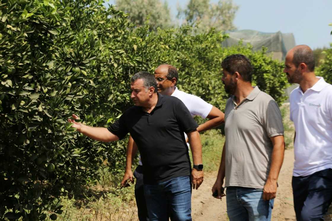 Yassine Gargouri (L), a farmer who hired the RoboCare startup company, checks his citrus trees in the region of Nabeul, Tunisia Yassine Gargouri (L), a farmer who hired the RoboCare startup company, checks his citrus trees in the region of Nabeul, Tunisia