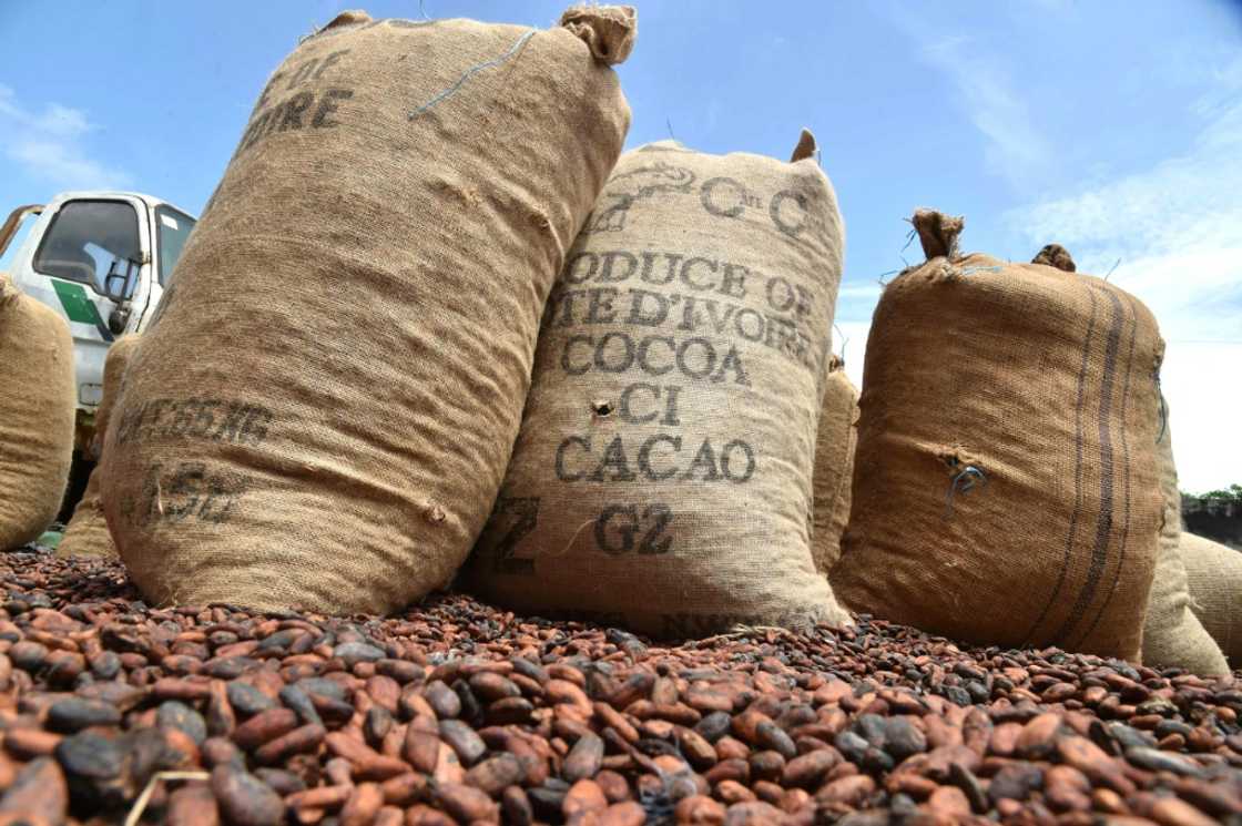 Ivory Coast and Ghana have been pressing chocolate giants to pay higher prices for cocoa beans to help poor farmers Ivory Coast and Ghana have been pressing chocolate giants to pay higher prices for cocoa beans to help poor farmers