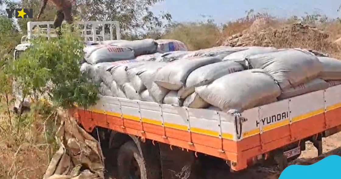 Kwahu Nketepa, cocoa smuggling, Afram Plains, Togo, Eastern region, KIA trucks Kwahu Nketepa, cocoa smuggling, Afram Plains, Togo, Eastern region, KIA trucks