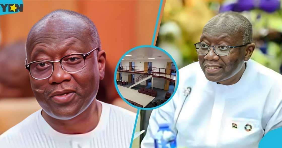 Ken Ofori-Atta, Ghana's former Finance Minister, US, ICE, detention centre, Virginia